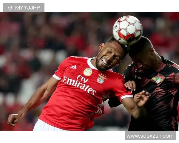 博维斯与本菲卡首发阵容分析及比赛前瞻全面解读